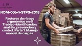 NOM-036-1-STPS-2018, Factores de riesgo ergonómico en el Trabajo- Parte 1: Manejo manual de cargas.