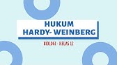 HUKUM HARDY-WEINBERG : BIOLOGI KELAS 12 SMA