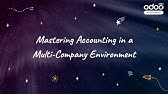 Mastering Accounting in a Multi-Company Environment