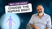 Why Our Souls Choose the Human Body