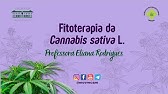 3ª Aula: Fitoterapia da Cannabis sativa L. - Professora Eliana Rodrigues