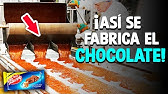 ¿Cómo Se Hace El Chocolate? [Proceso En Fábrica]