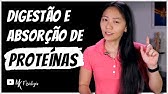 Digestão e absorção de proteínas | MK Fisiologia