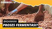 Bagaimana Proses Fermentasi?