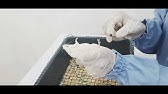 PRAKTIKUM FARMAKOLOGI P4 PENGARUH ABSORBSI OBAT