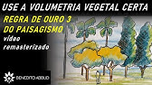 REGRA DE OURO 03 - USE A VOLUMETRIA VEGETAL CERTA