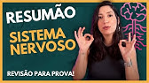 Resumão: SISTEMA NERVOSO
