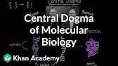 Central dogma of molecular biology | Chemical processes | MCAT | Khan Academy
