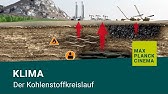 Klima – der Kohlenstoffkreislauf