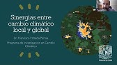 Efectos de la isla de calor deben ser mitigados al igual que el cambio climático