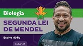 Segunda lei de Mendel - Biologia - Ensino Médio