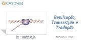 Replicação, Transcrição e Tradução do DNA