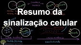 Resumo da sinalização celular | Sinalização celular | Biologia | Khan Academy