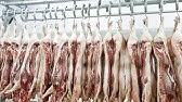 Como Funciona una Planta de Desposte de Carne - TvAgro por Juan Gonzalo Angel