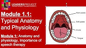 Module 1.1- Cleft Palate Speech and Feeding: Importance of Speech Therapy & Intro to Anatomy