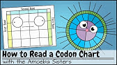 How to Read a Codon Chart