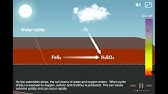 Coastal Acid Sulfate Soils