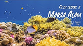 Marsa Alam: La tua prossima destinazione da sogno!