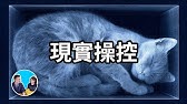 【震撼】100%有效的現實操控法，鐘擺法則 | 老高與小茉 Mr & Mrs Gao