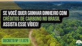 Se você quer ganhar dinheiro com créditos de carbono no Brasil, assista esse vídeo