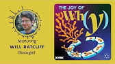 How Did Multicellular Life Evolve? | Podcast: The Joy of Why