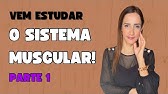 Sistema muscular (parte 1)