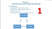 Cơ sở văn hóa Việt Nam - chương 1: Nguồn gốc, khái niệm, chức năng văn hóa