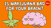 Is marijuana bad for your brain? - Anees Bahji