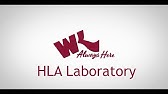 What is HLA Lab and Why is it So Important?  Willis-Knighton Health System