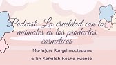 La crueldad con los animales en los productos cosméticos 💄