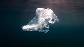 The Pressing Issue of The Great Pacific Garbage Patch