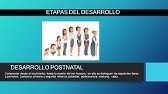 DESARROLLO POSTNATAL