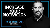 How to Increase Motivation & Drive | Huberman Lab Essentials