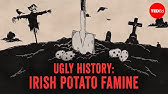 What really caused the Irish Potato Famine - Stephanie Honchell Smith