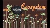 Ekosistem: Komponen Ekosistem, Interaksi Antar Komponen Ekosistem, dan Rantai Makanan