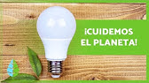 10 ACCIONES para CUIDAR el MEDIO AMBIENTE 🌏✅