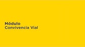 001 Renovacion Licencias   Modulo Convivencia Vial v5