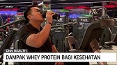 Dampak Whey Protein Bagi Kesehatan