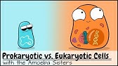 Prokaryotic vs. Eukaryotic Cells (Updated)