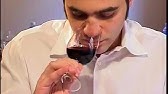 ABC Vinos   Capitulo 3  La madurez de la uva y la cosecha