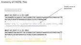 Importing and demultiplexing