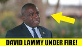 David Lammy UNDER FIRE For Misleading!