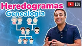 HEREDOGRAMA | GENEALOGIA | Prof. Paulo Jubilut