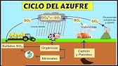 CICLO DEL AZUFRE Y SUS ETAPAS / FÁCIL Y RÁPIDO # ECOLOGÍA