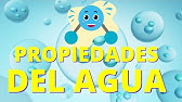 El AGUA: propiedades físicas y químicas💧