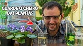 Como guardar o cheiro das plantas