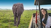 The Truth About a Serengeti Safari (5 Things You Should Know)