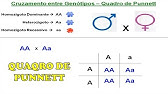 Exercícios Quadro de Punnett e Leis de Mendel