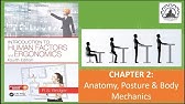 CHAPTER 2: Anatomy, Posture, and Body Mechanics