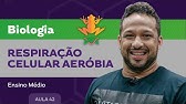 Respiração celular aeróbia​ - Biologia - Ensino Médio